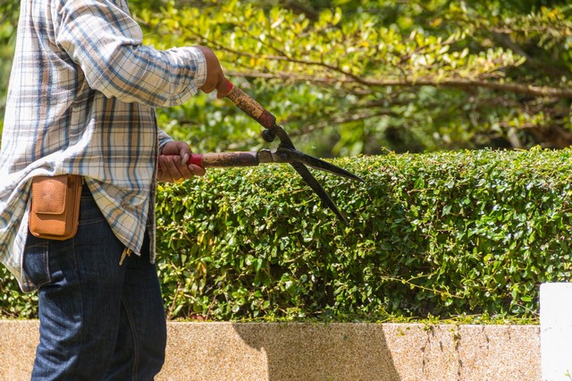 Garden Maintenance Rush Green, RM7